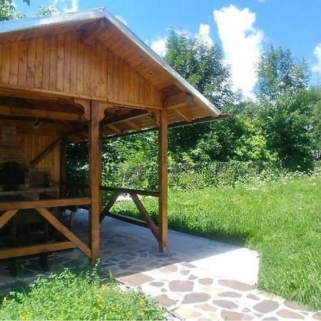 Vila Viitorul بوستين المظهر الخارجي الصورة