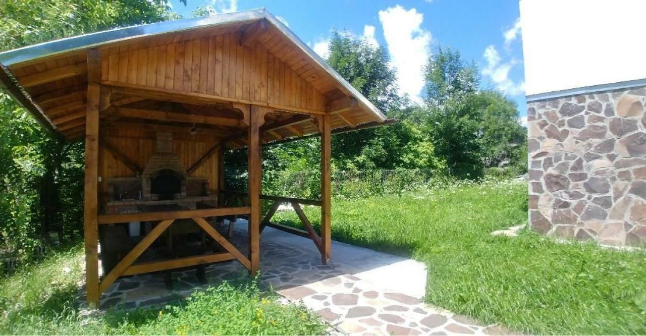 Vila Viitorul بوستين المظهر الخارجي الصورة